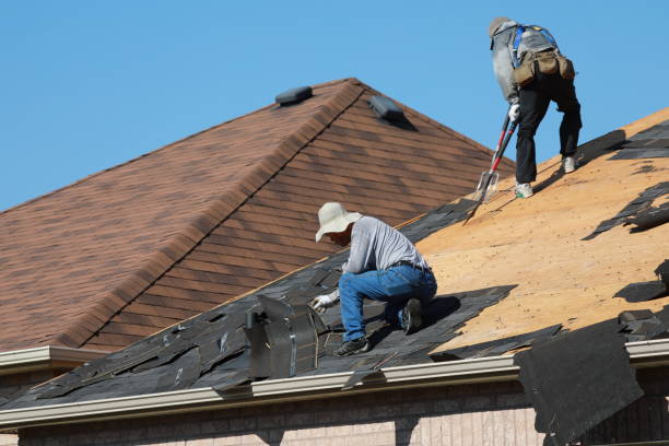 Best Skylight Installation and Repair  in Meggett, SC